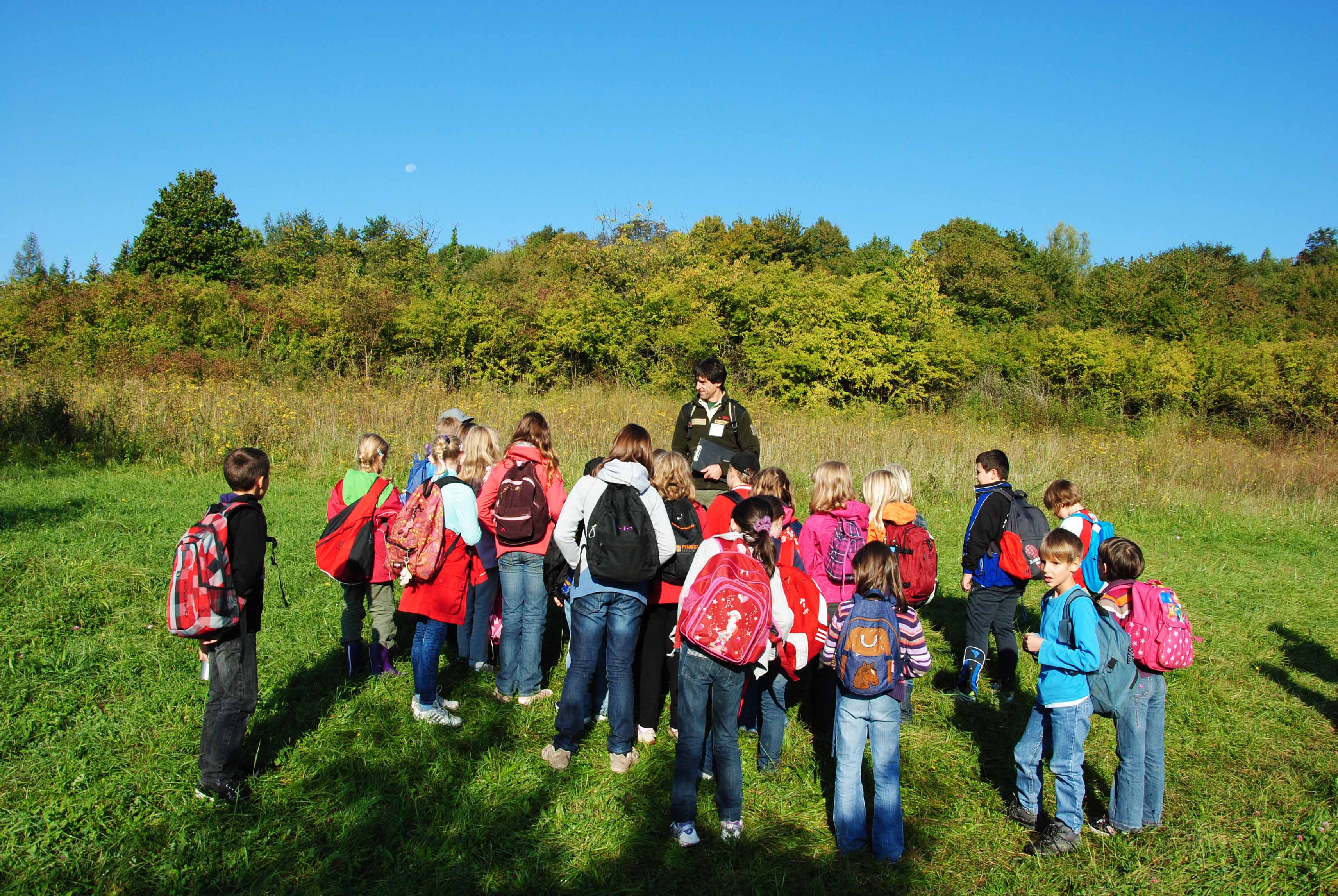 Maikäfer flieg! Vom Engerling zur Kulturikone