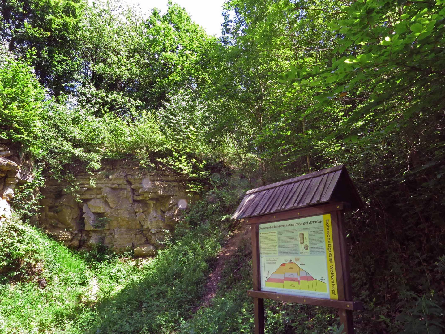 Das sind unsere Führungen 2025