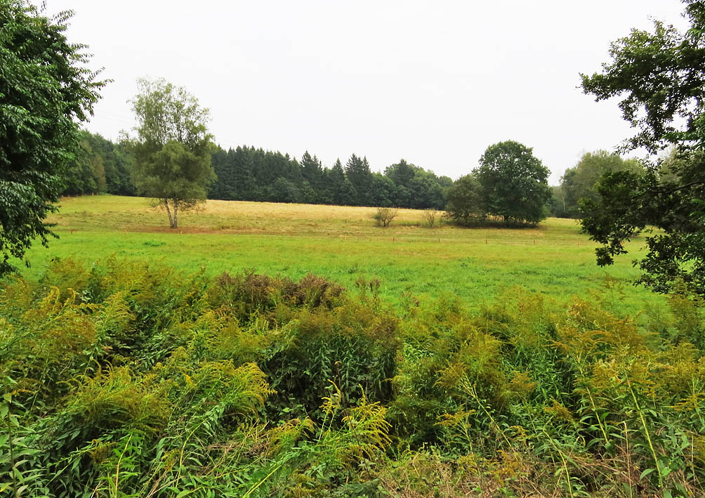 Im Glashuettental-Rohrbachtal