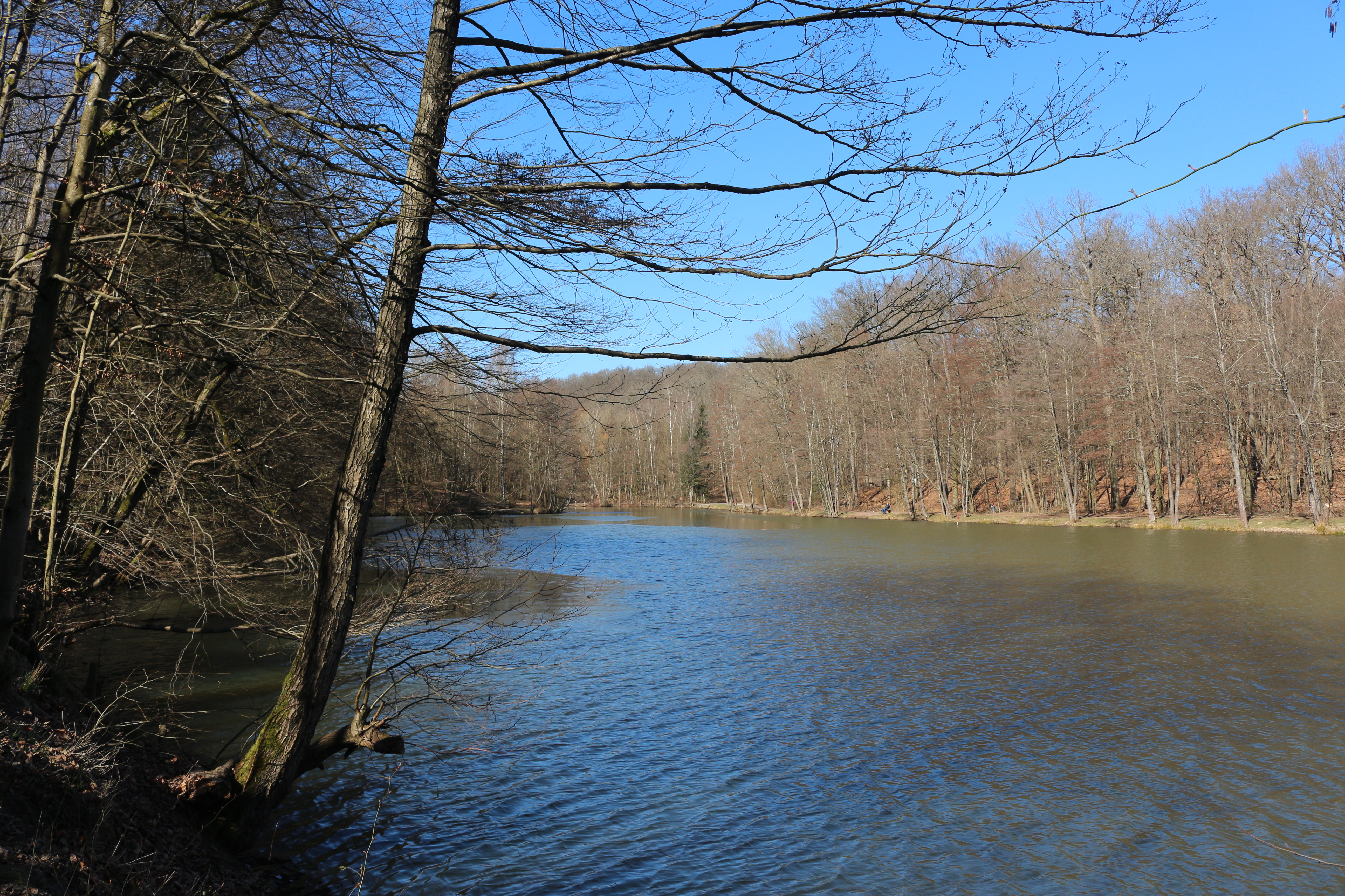 Der "Urwald vor den Toren der Stadt" ist das einzige Wildnisgebiet direkt am Rande einer deutschen Großstadt.