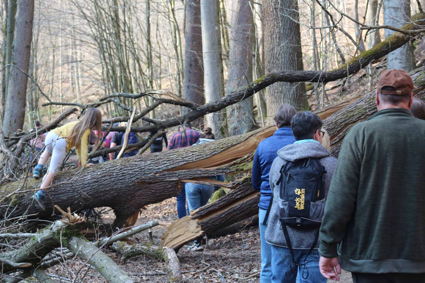 Bei der Tour durch den Urwald ging es manchmal drunter und drüber.