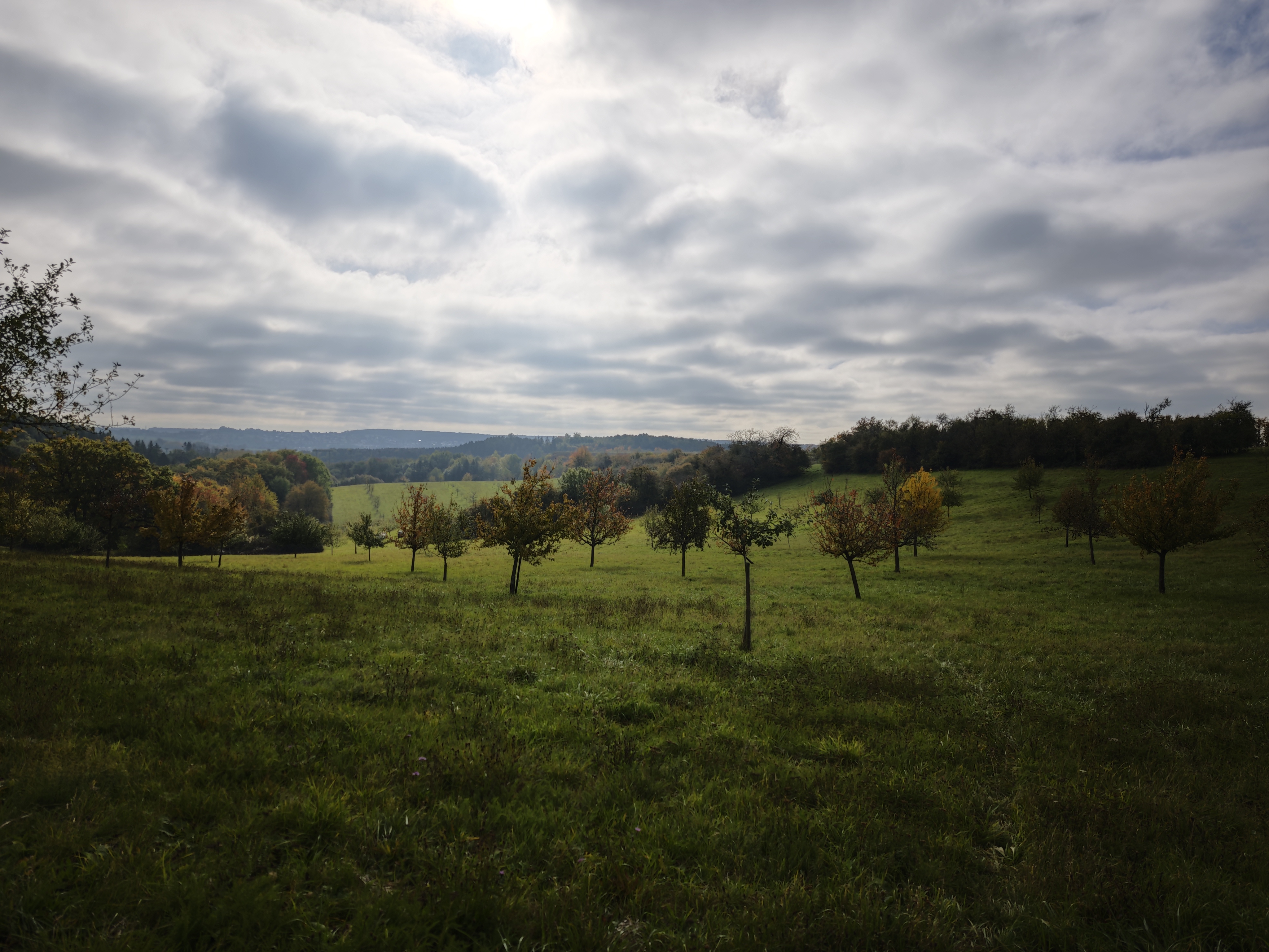 Gemeinsam für eine saubere Blies